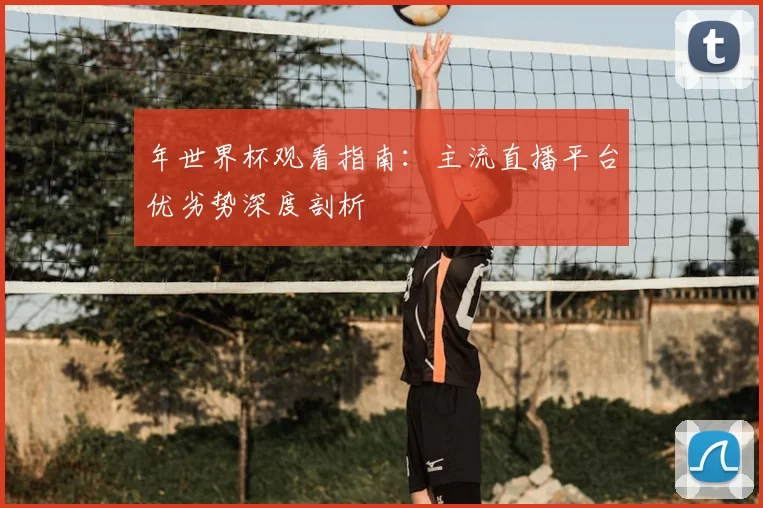 年世界杯观看指南：主流直播平台优劣势深度剖析